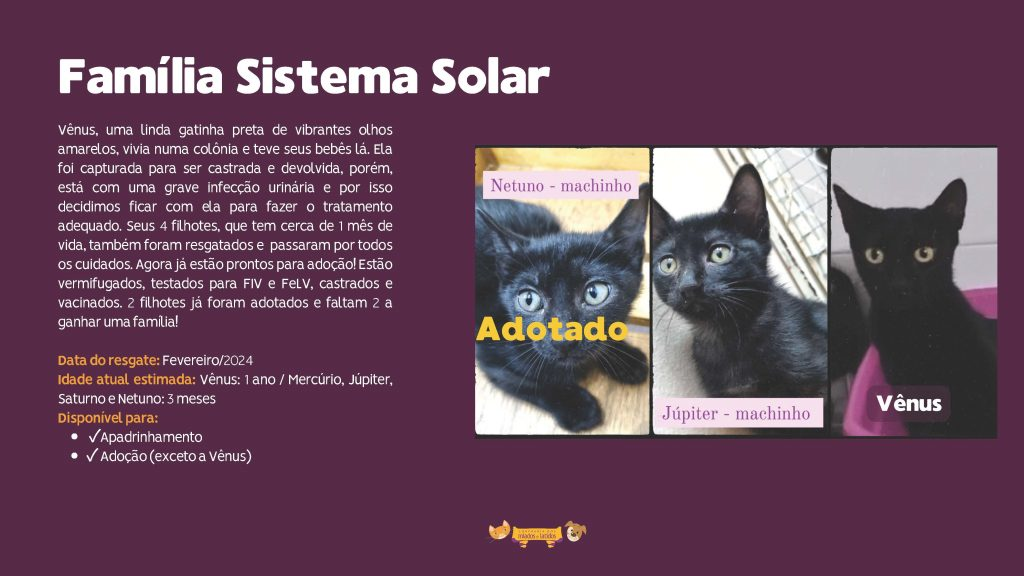familia-sistema-solar