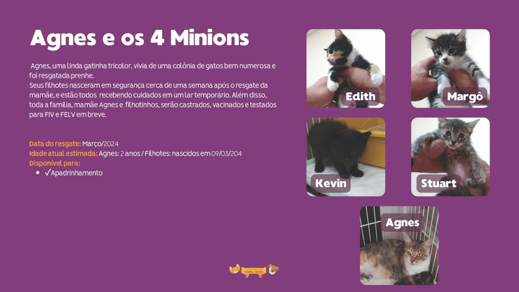 agnes-e-quatro-minions