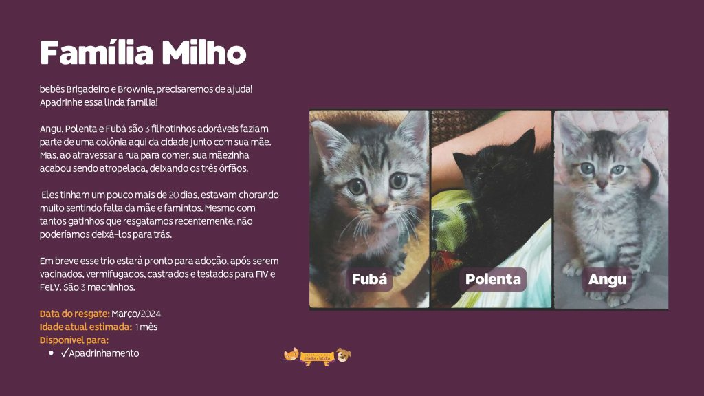 familia-milho