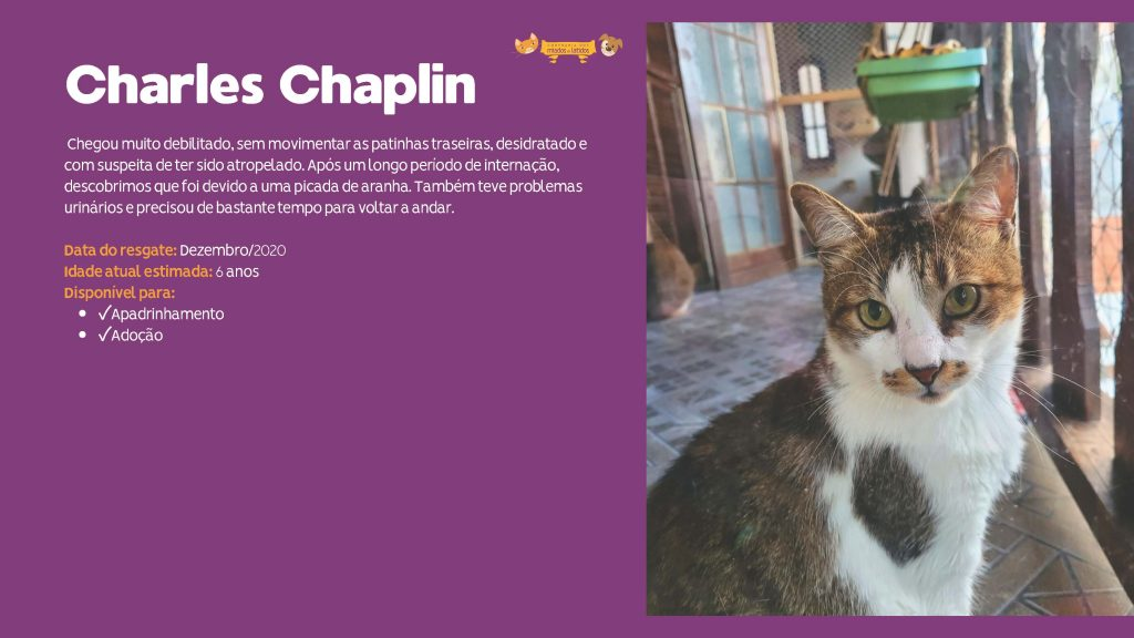 charles-chaplin
